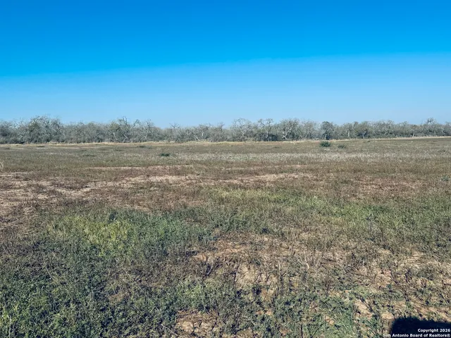 a view of a field with trees in background
