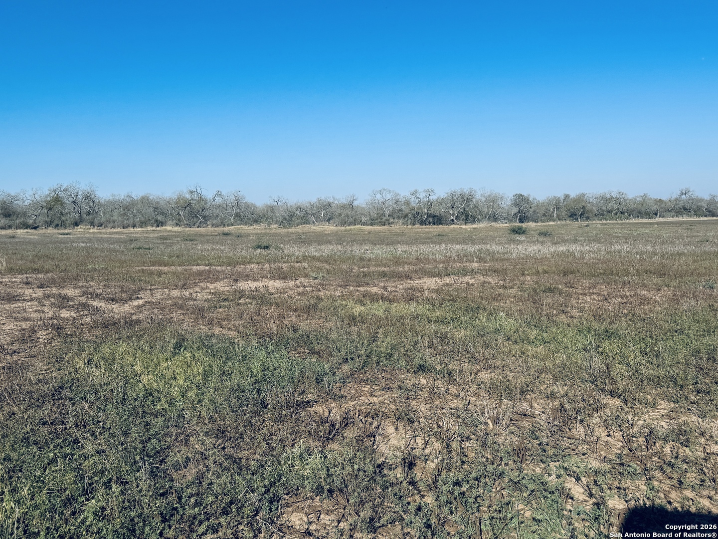 Tbd Byrd Road Pleasanton, TX 78064 - Photo 13 of 37