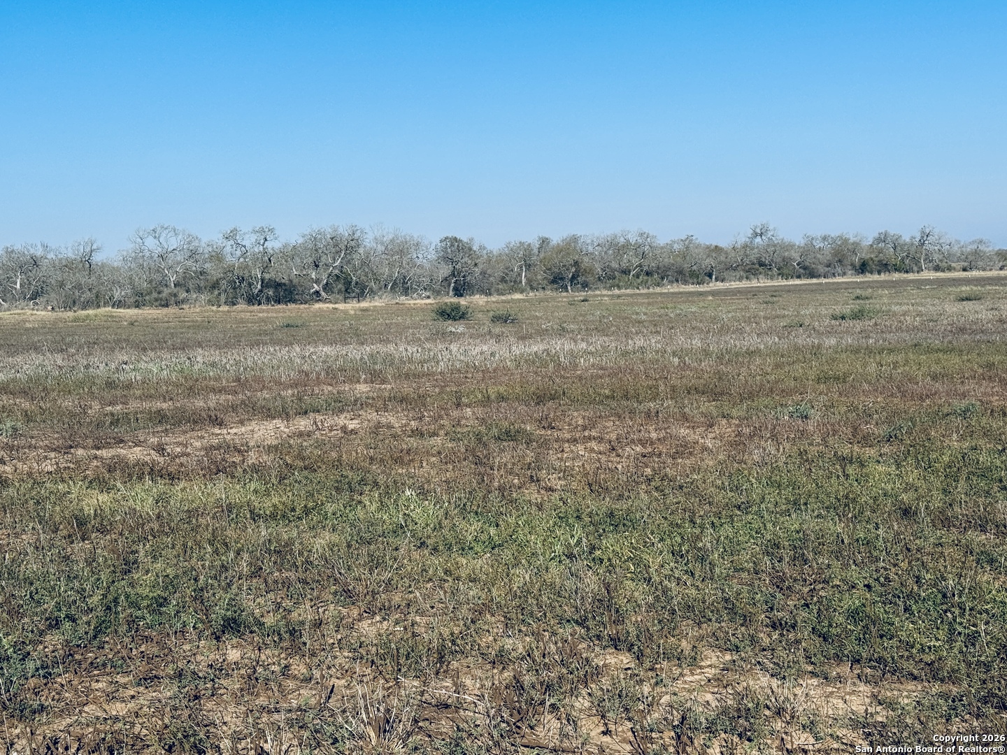 Tbd Byrd Road Pleasanton, TX 78064 - Photo 14 of 37