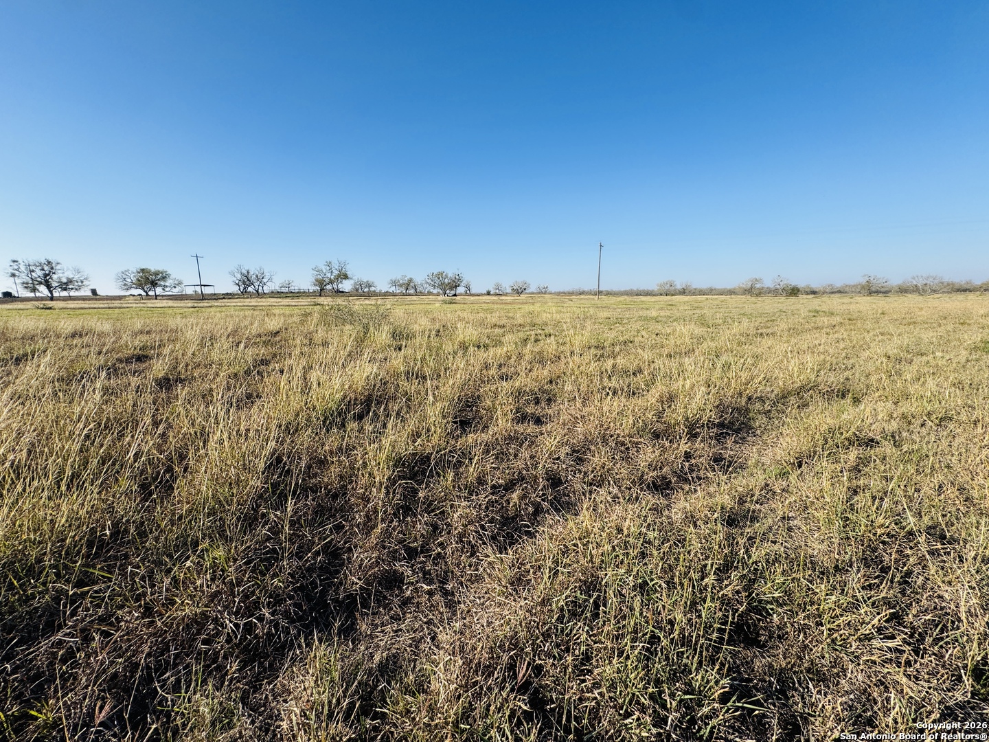 Tbd Byrd Road Pleasanton, TX 78064 - Photo 2 of 37