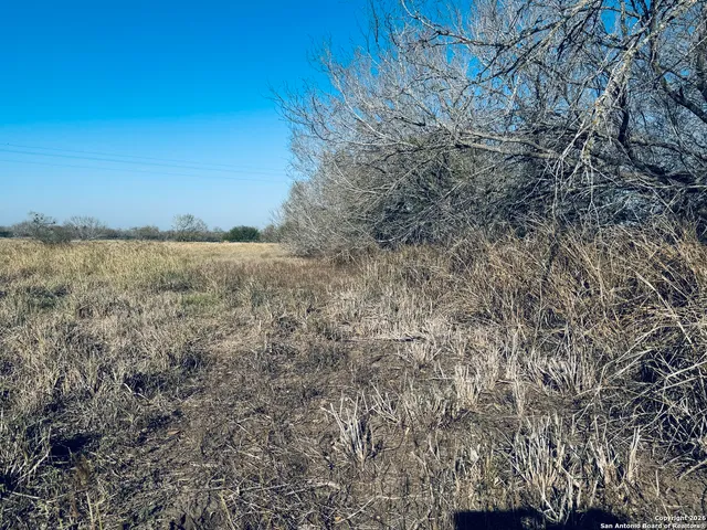 a view of an ocean beach