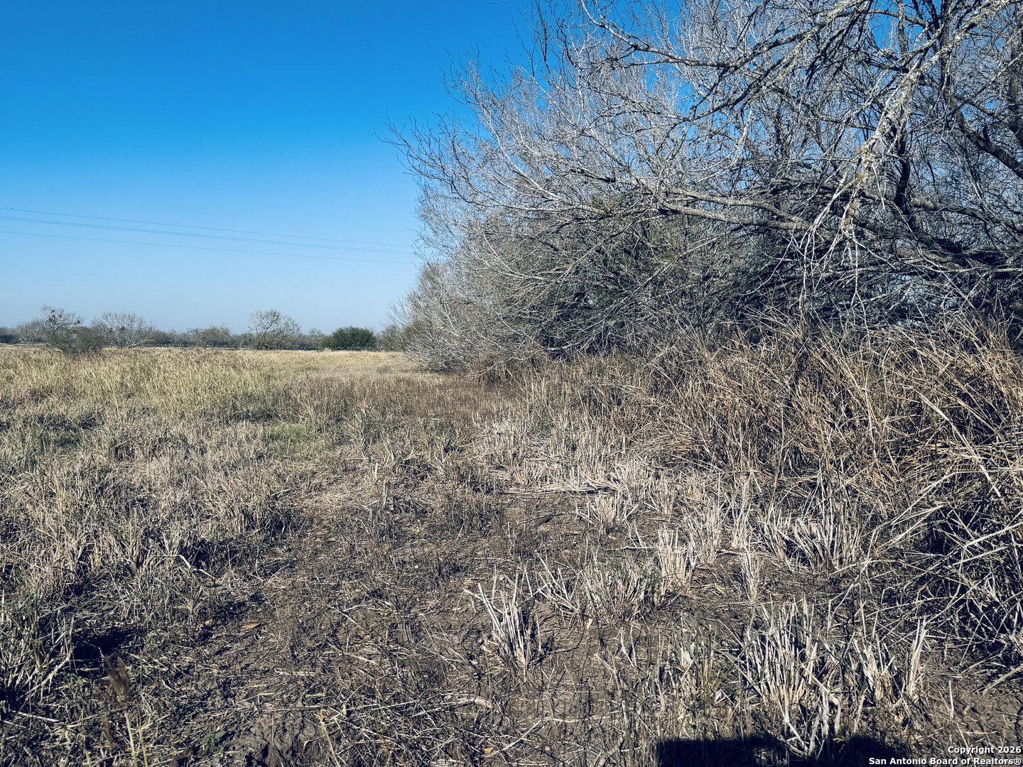 Tbd Byrd Road Pleasanton, TX 78064 - Photo 24 of 37