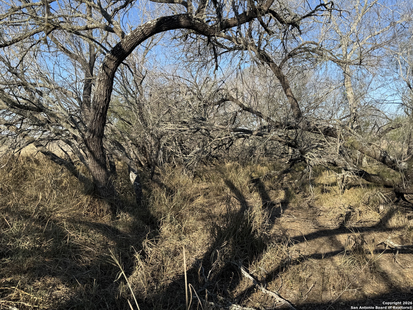 Tbd Byrd Road Pleasanton, TX 78064 - Photo 28 of 37