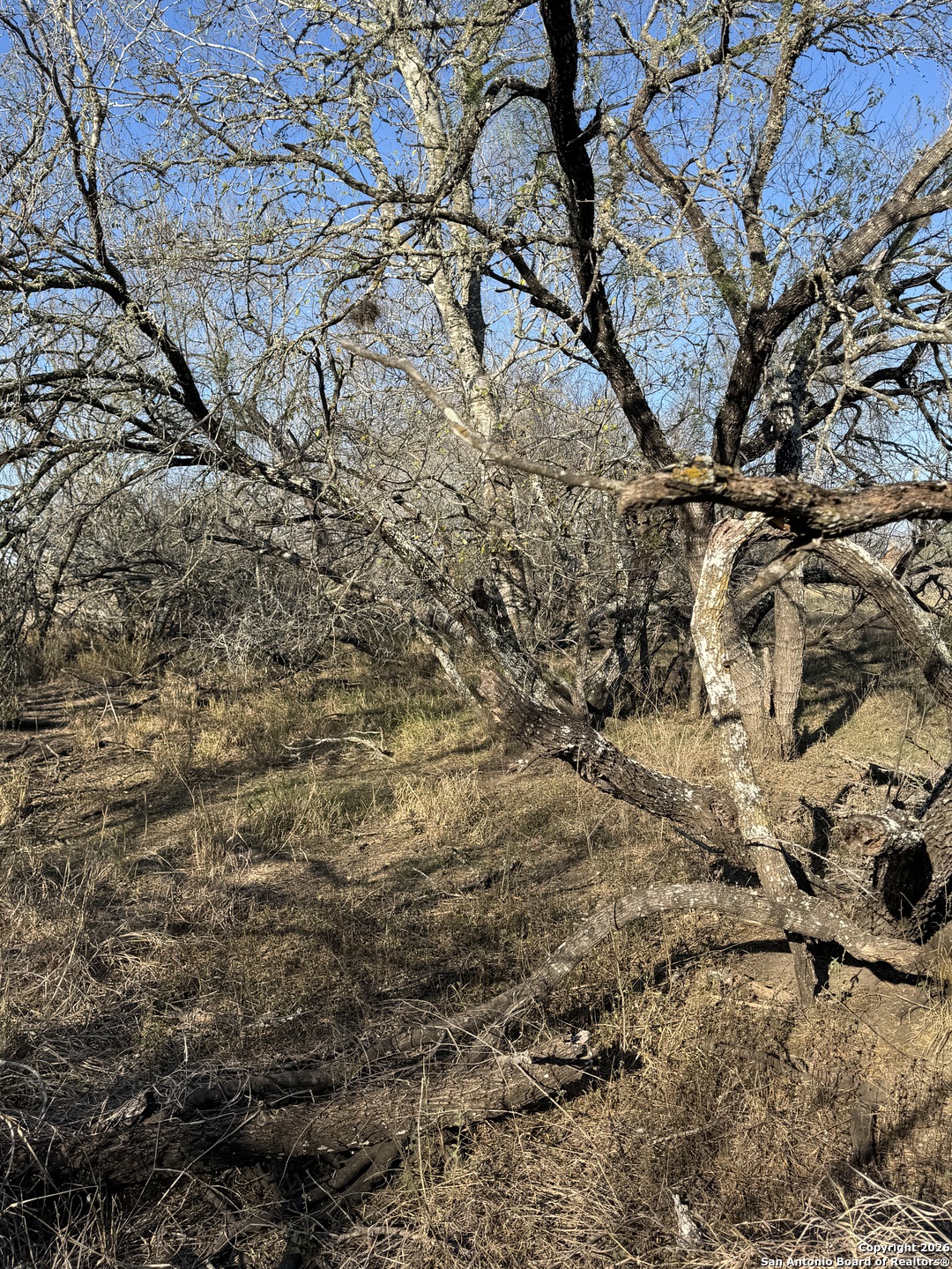 Tbd Byrd Road Pleasanton, TX 78064 - Photo 30 of 37