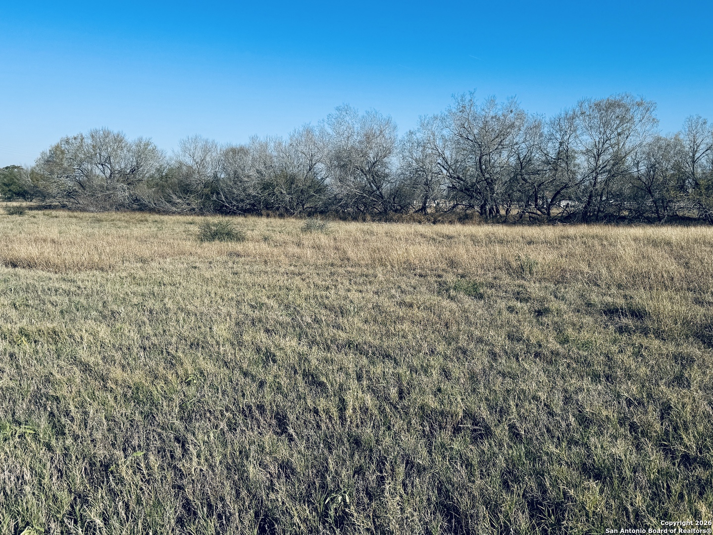 Tbd Byrd Road Pleasanton, TX 78064 - Photo 3 of 37