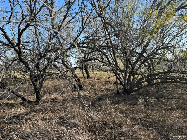 a view of an ocean and beach