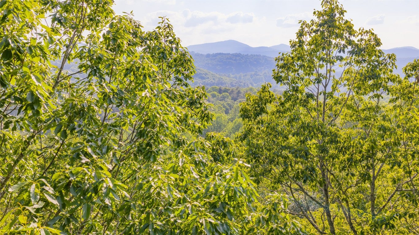 Lt Forest Ridge Road Cashiers, NC 28717 - Photo 9 of 18 Gallery Image 9