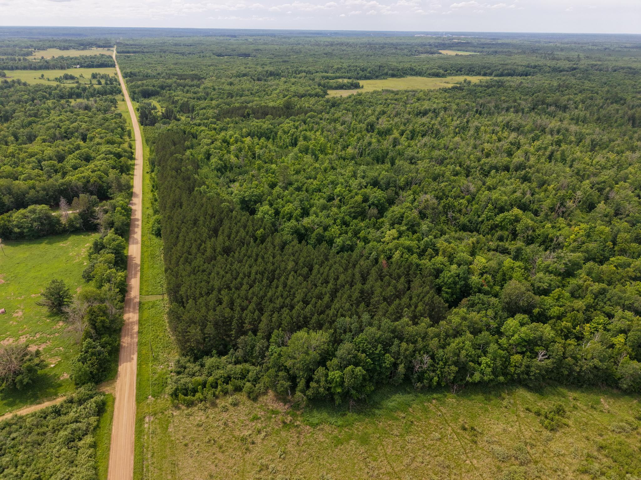 80-acres Pike Bay Loop Road Northwest Cass Lake, MN 56633 - Photo 8 of 27