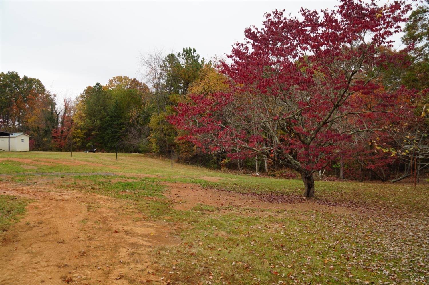 2106 Railview Road Gladys, VA 24554 - Photo 18 of 20 a view of yard with tree