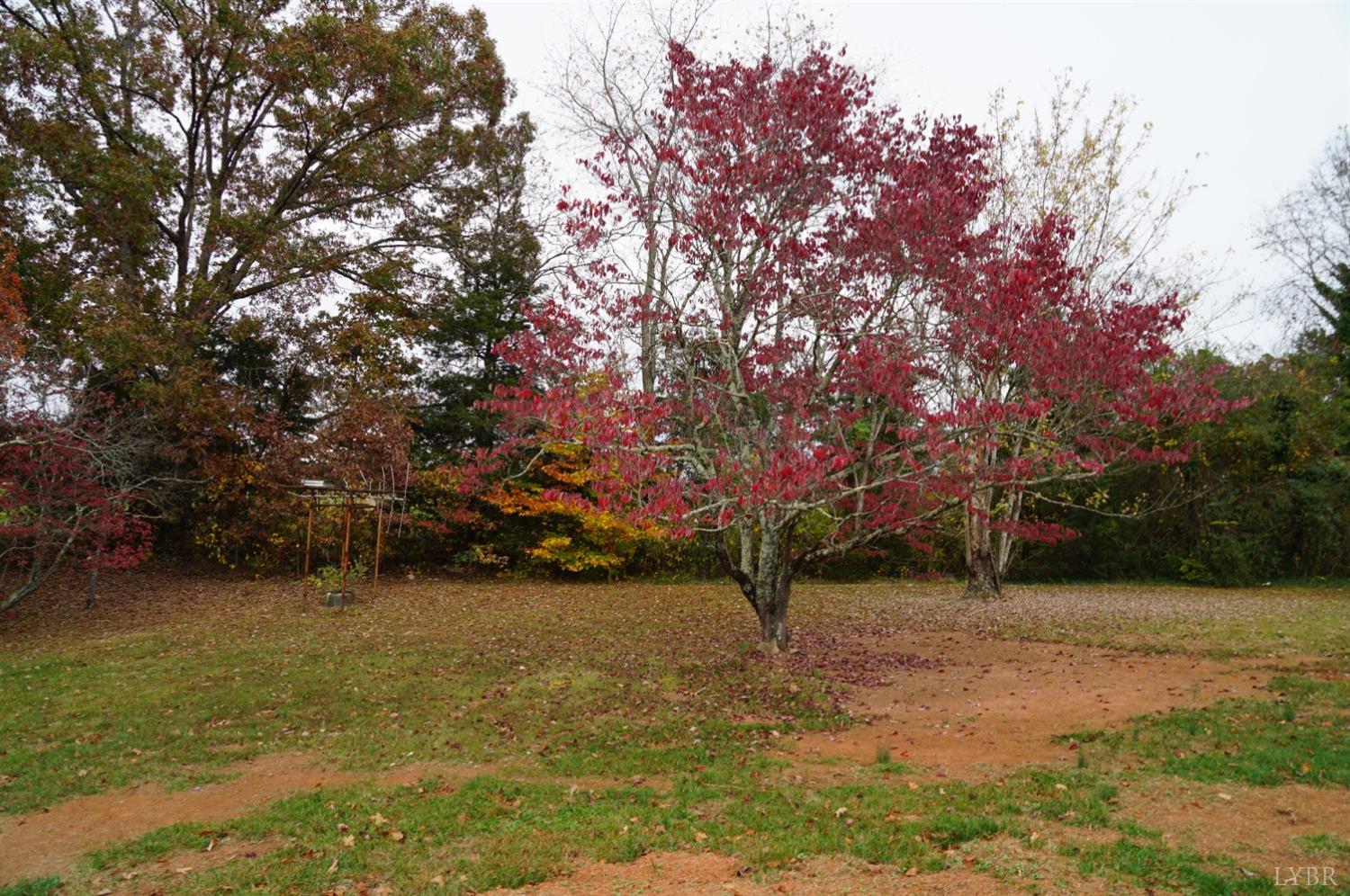 2106 Railview Road Gladys, VA 24554 - Photo 19 of 20 a view of backyard with green space
