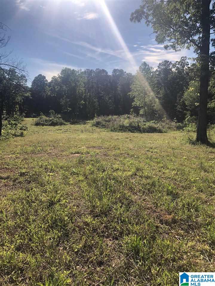 5885 Coleman Lake Road McCalla, AL 35111 - Photo 6 of 8