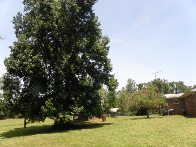 373 Greene Settlement Road Gray, GA 31032 - Photo 19 of 34 a view of an outdoor space with deck and mountain view