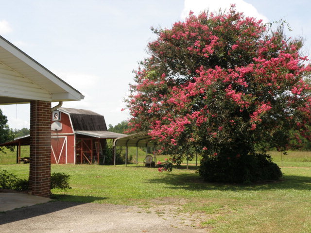 373 Greene Settlement Road Gray, GA 31032 - Photo 6 of 34 a view of a porch with a yard
