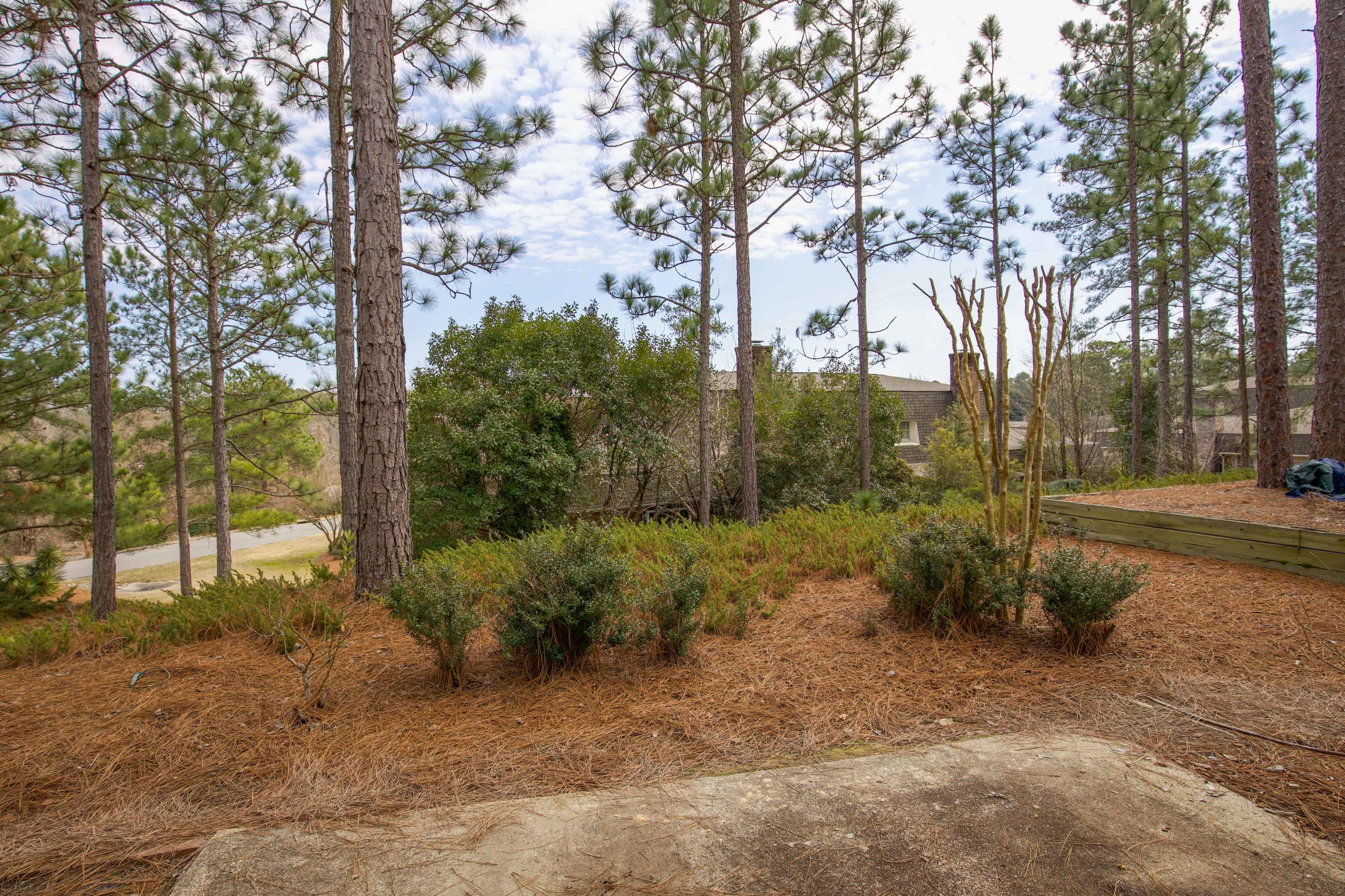 149 Winntown Road Allenhurst, GA 31301 - Photo 44 of 47 Yard