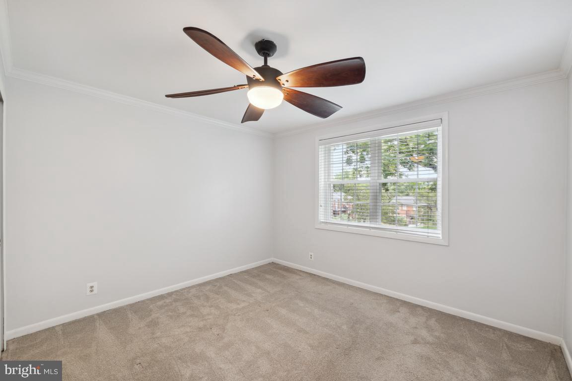 4635 28th Road South, Unit A Arlington, VA 22206 - Photo 11 of 23 Primary bedroom with plenty of natural light.