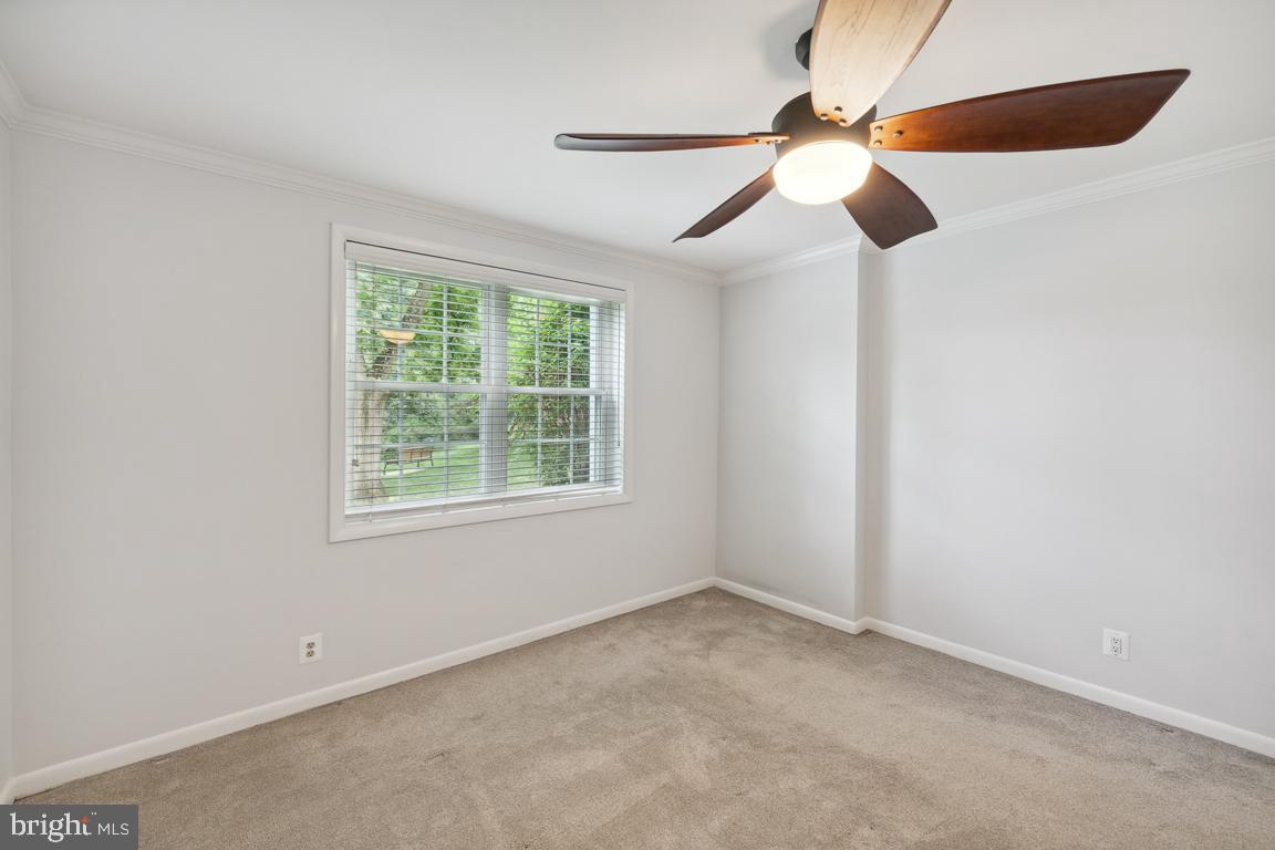 4635 28th Road South, Unit A Arlington, VA 22206 - Photo 14 of 23 Lots of natural light in the Primary.