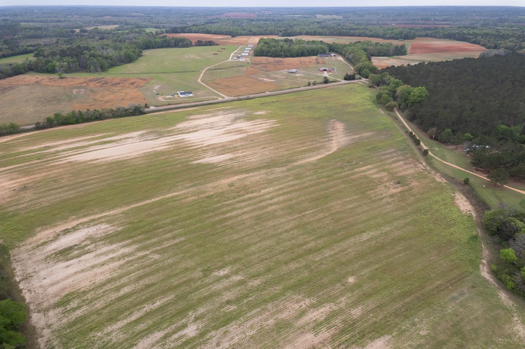 3-acres Singletary Road Slocomb, AL 36375 - Photo 7 of 15