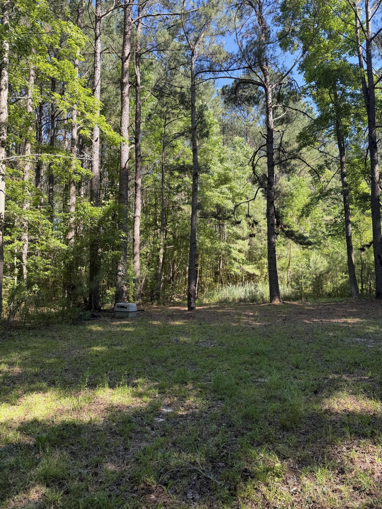 3125 State Road Ridgeville, SC 29472 - Photo 16 of 18 IMG_0959