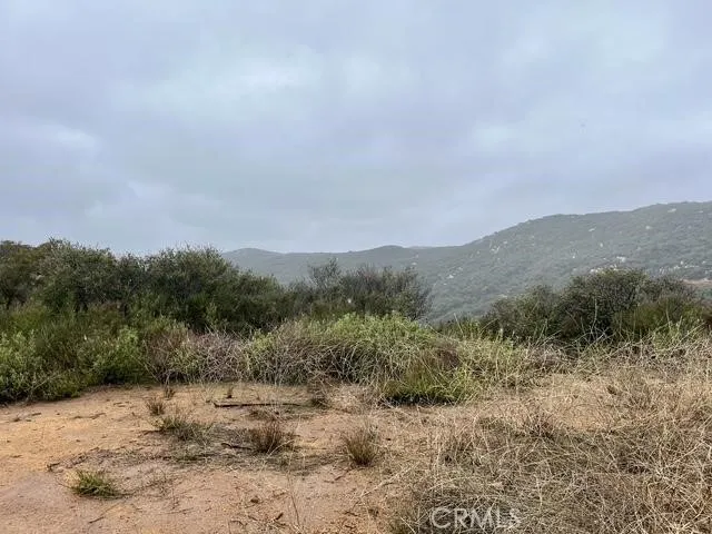 a view of a dry field
