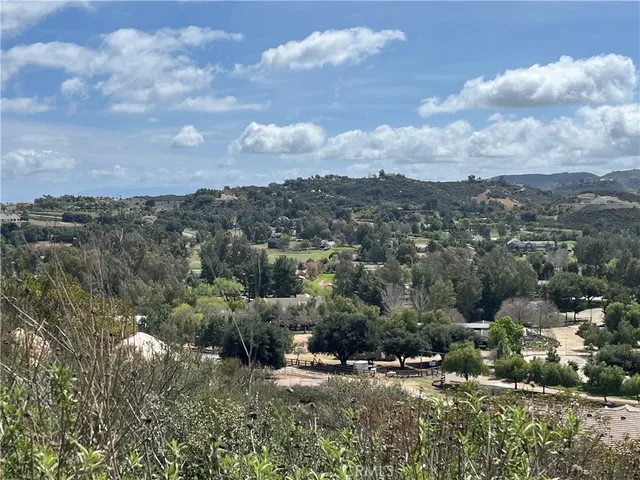 a view of a large trees