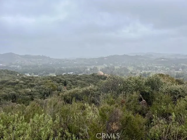 an aerial view of houses covered in trees