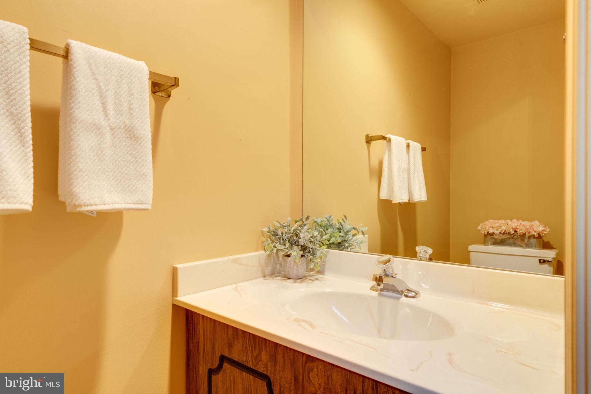 9007 Fox Grape Lane Springfield, VA 22152 - Photo 3 of 23 Main level powder room.