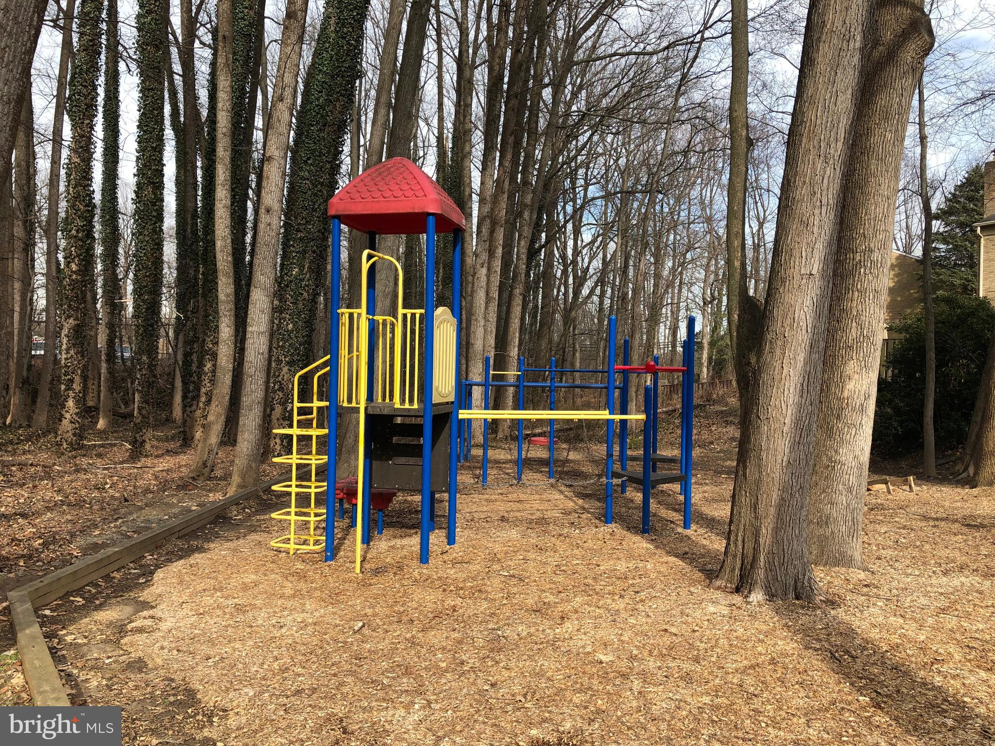 9007 Fox Grape Lane Springfield, VA 22152 - Photo 22 of 23 Community tot lot.