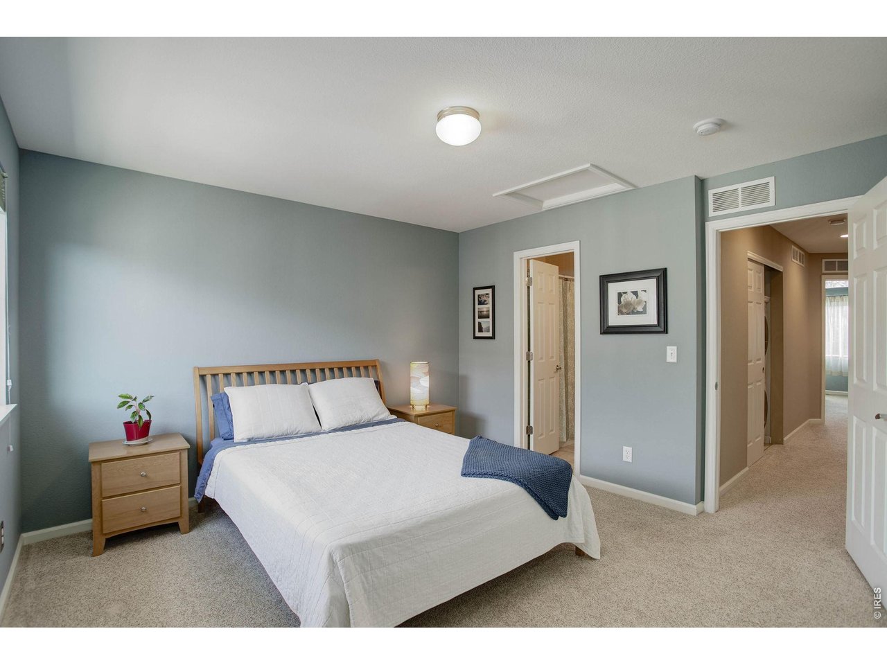 4116 Riley Drive Longmont, CO 80503 - Photo 24 of 33 Spacious Second Bedroom with ensuite full bath