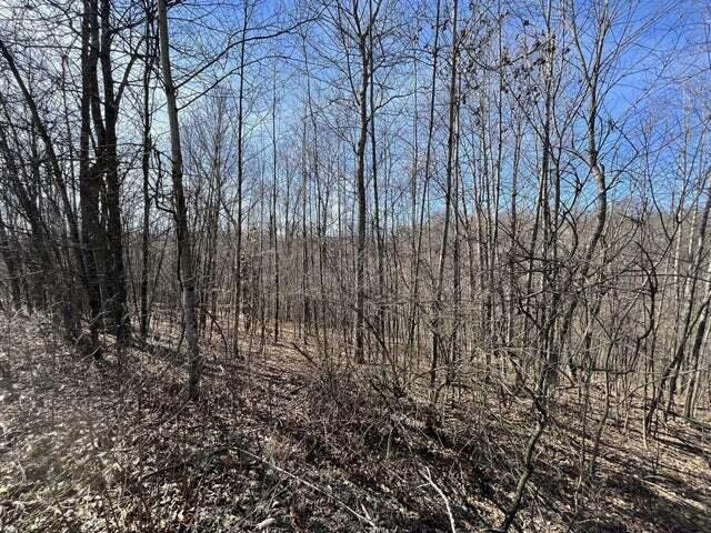 8625 North Drake Road Malta, OH 43758 - Photo 2 of 17 20230309000907069201000000-o (2)