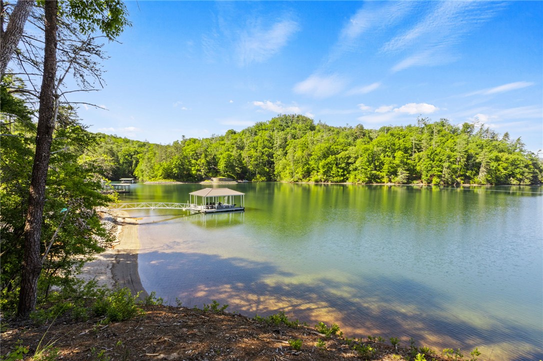 Lot 2 Johnson Drive Sunset, SC 29685 - Photo 20 of 22