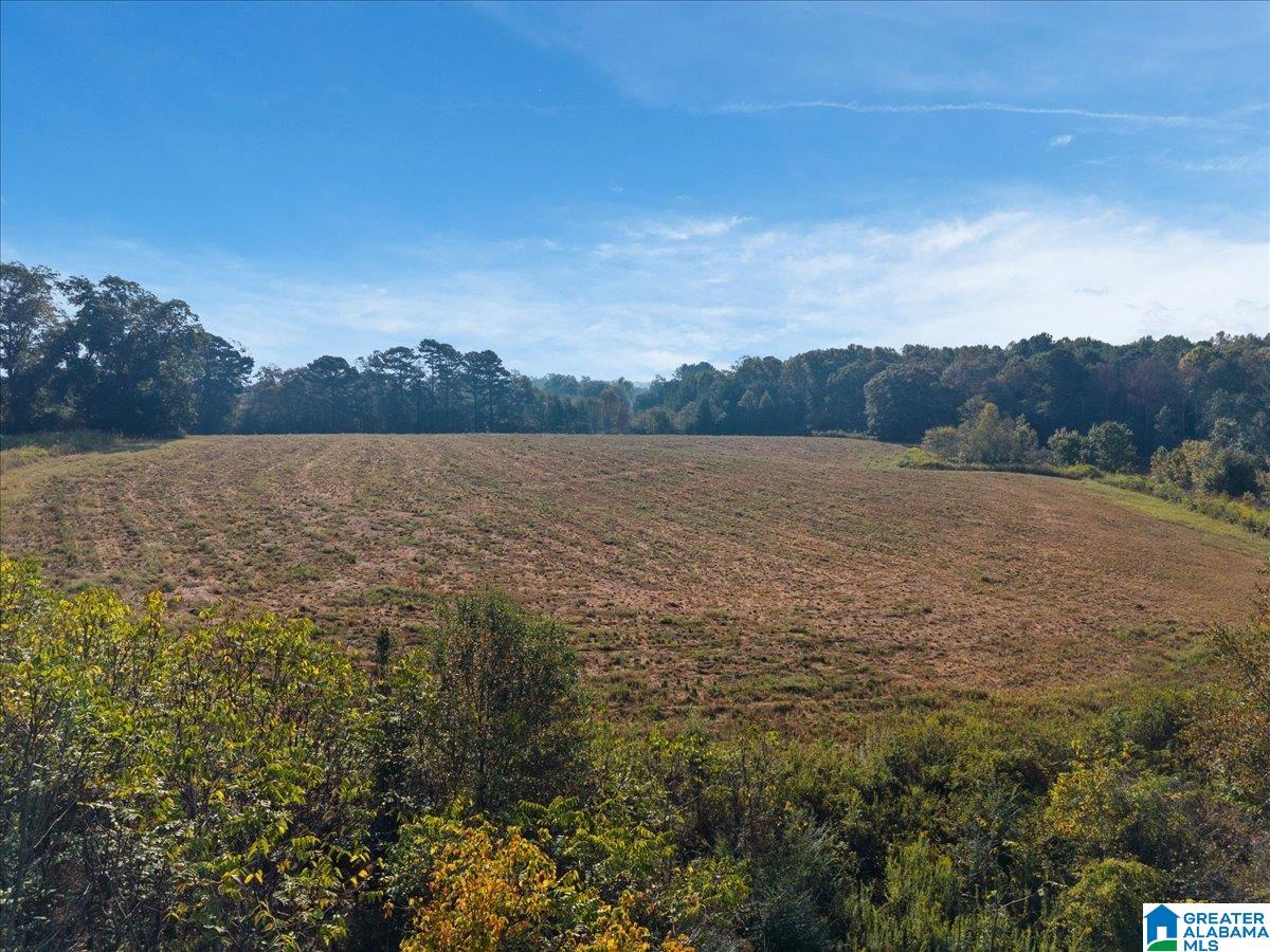 21 County Road, Unit 2 00 Horton, AL 35980 - Photo 12 of 17