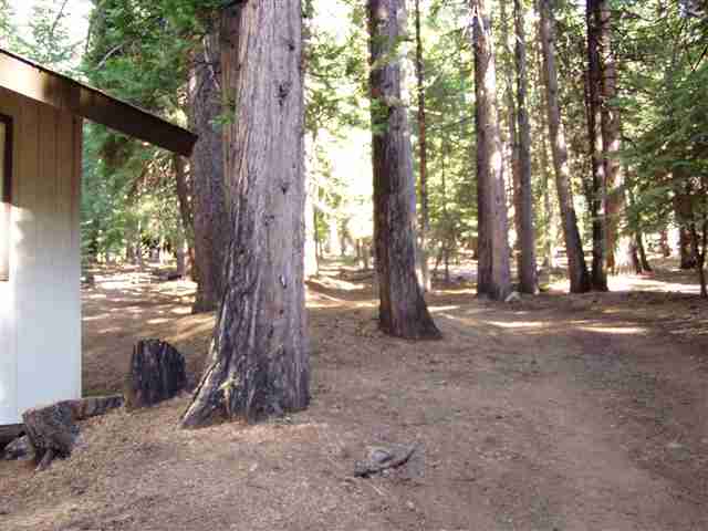 659 East Mountain Ridge Road Lake Almanor, CA 96137 - Photo 3 of 9