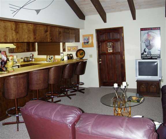 659 East Mountain Ridge Road Lake Almanor, CA 96137 - Photo 5 of 9