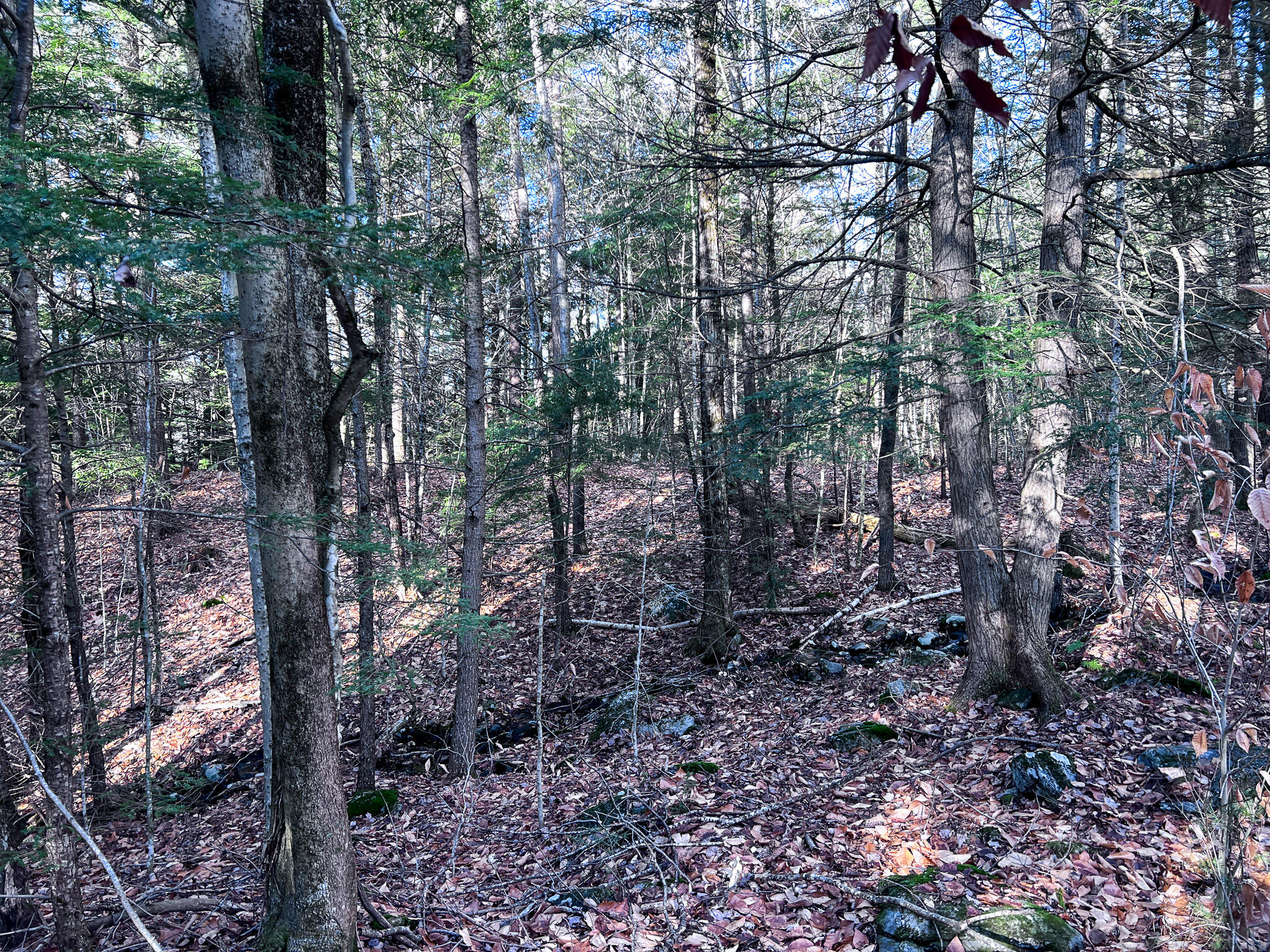 1 Flat Ground Road Acton, ME 04001 - Photo 24 of 34 IMG_2355