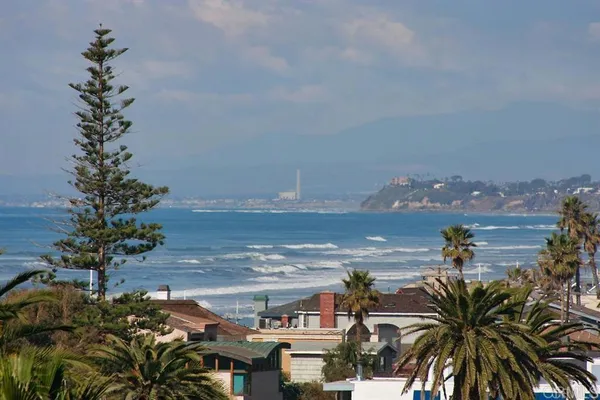 a palm tree sitting in front of a house with a yard