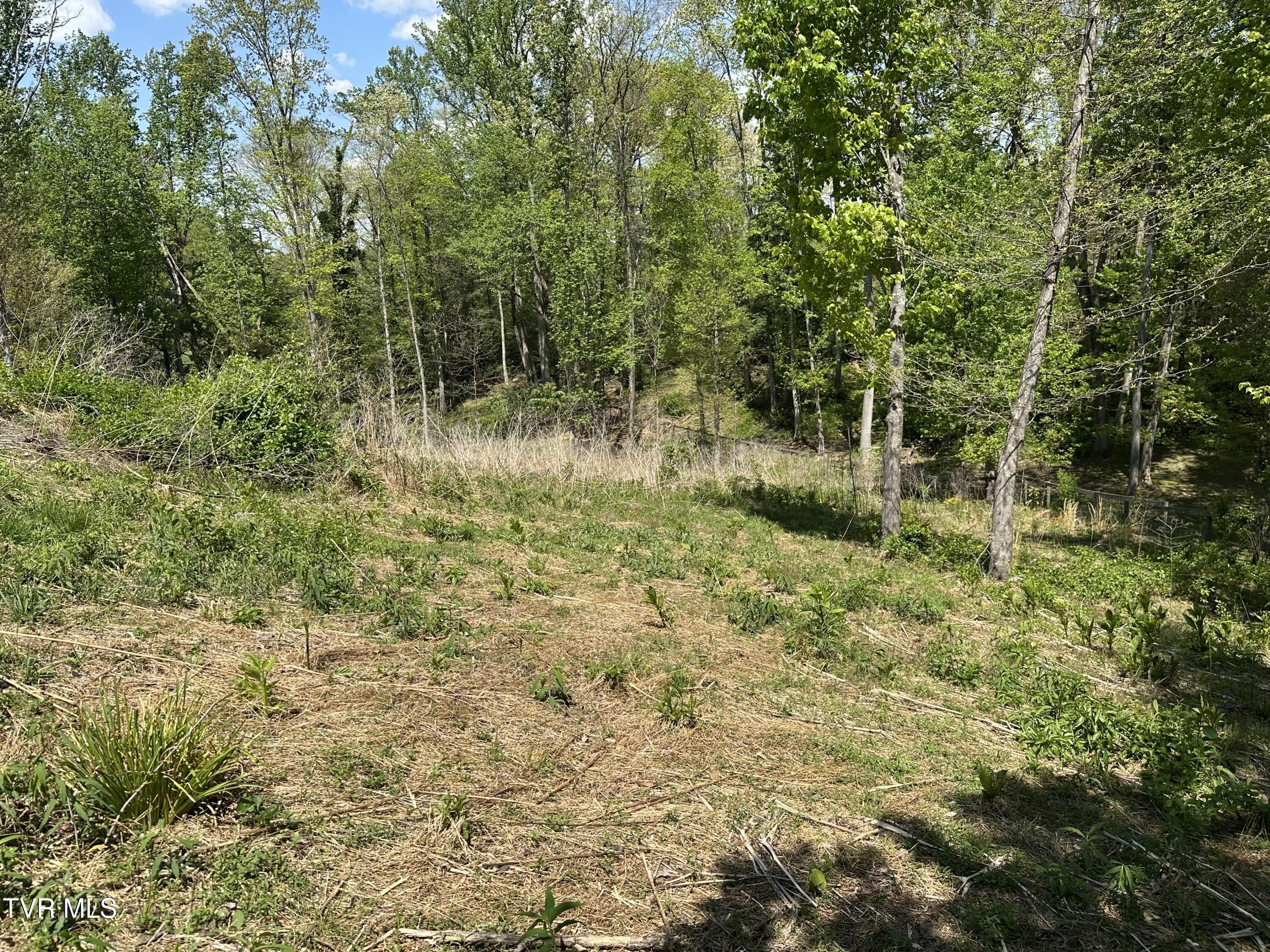 21506 Plantation Road Bristol, VA 24202 - Photo 20 of 70 IMG_1929