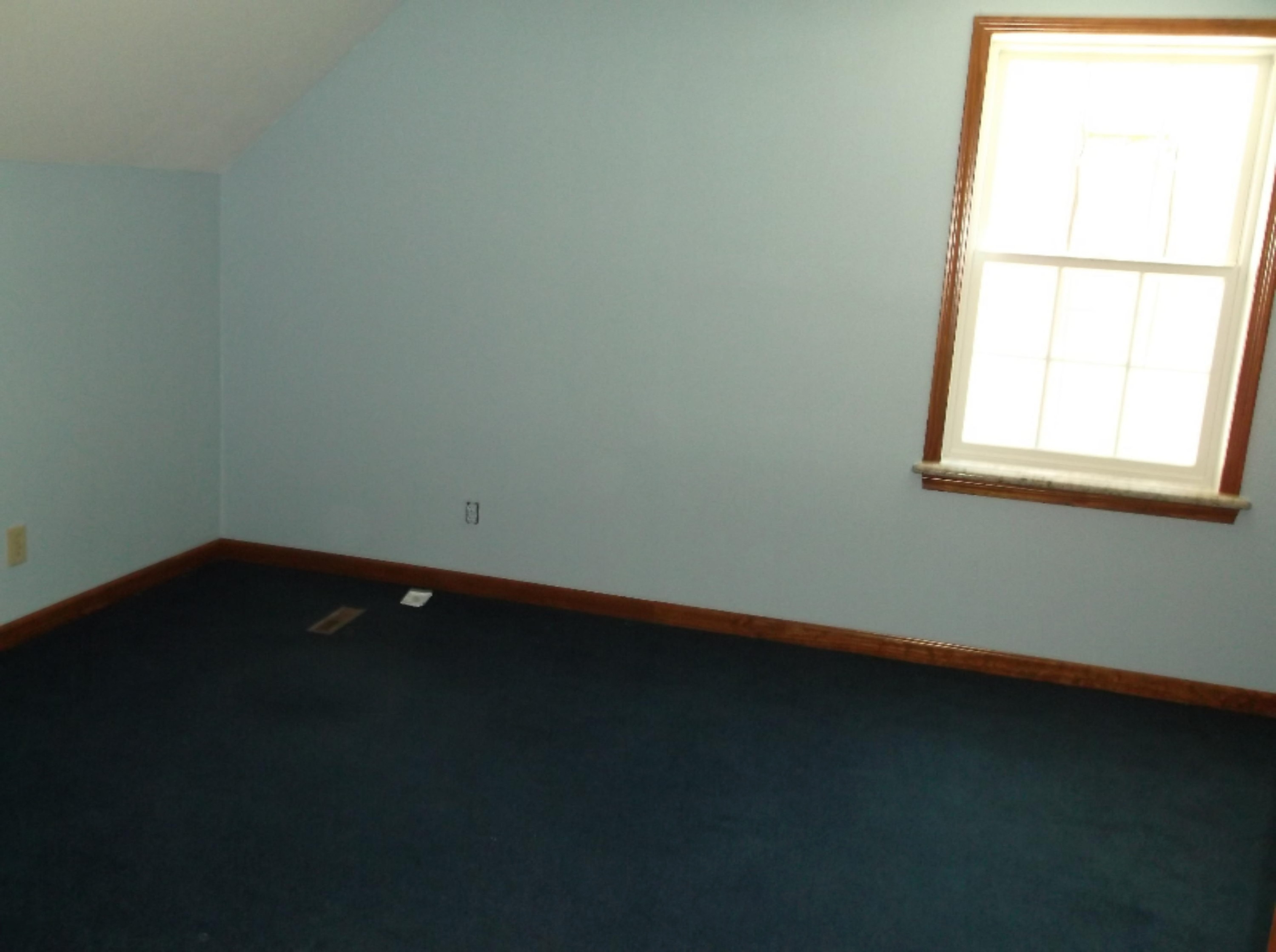 5171 Bean Road Allen, MI 49227 - Photo 33 of 43 DSCF1016