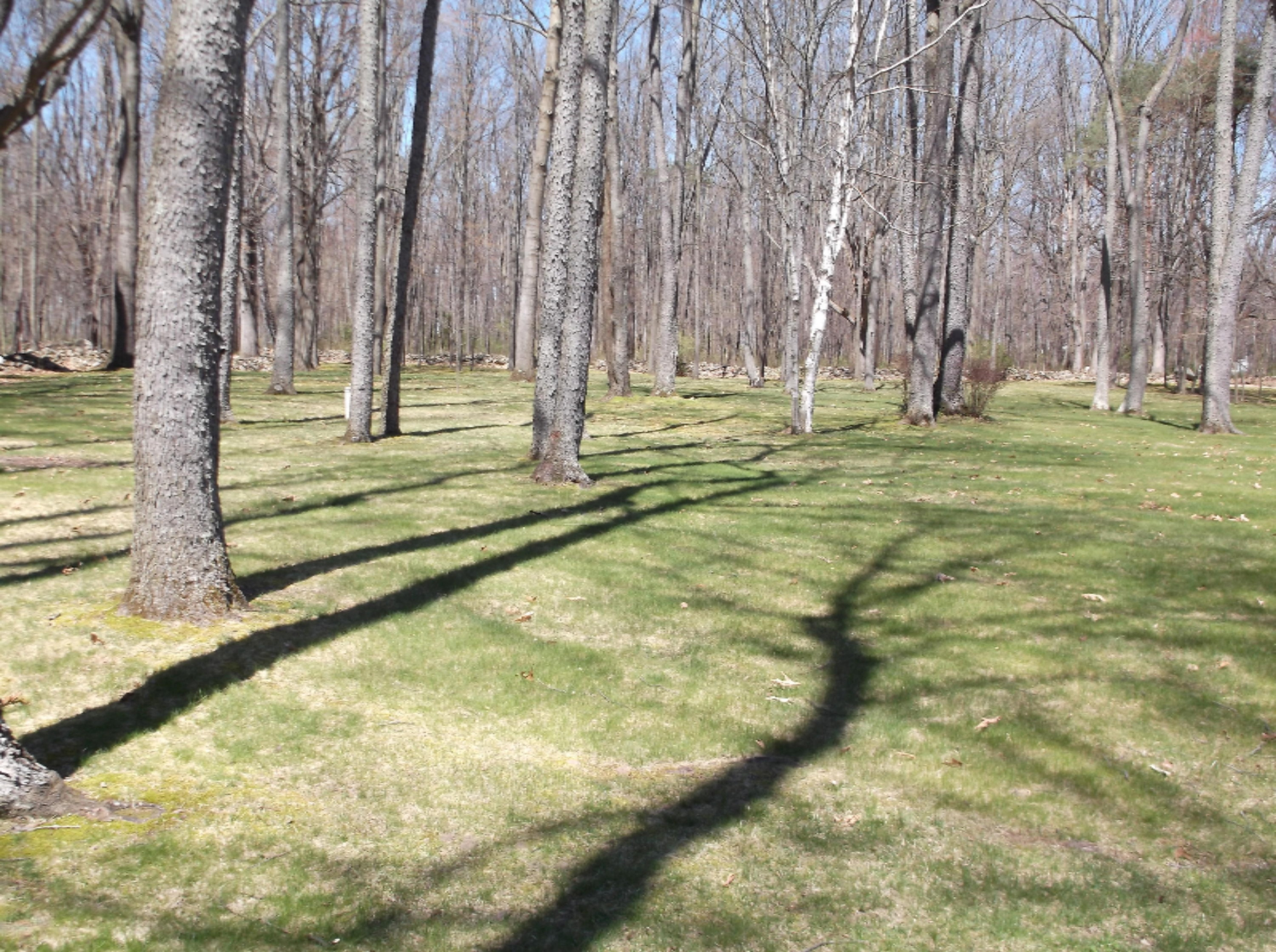 5171 Bean Road Allen, MI 49227 - Photo 9 of 43 DSCF1003
