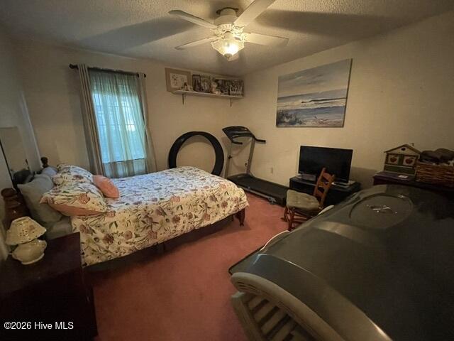 177 Ainsley Road Hertford, NC 27944 - Photo 26 of 46 Bedroom 3