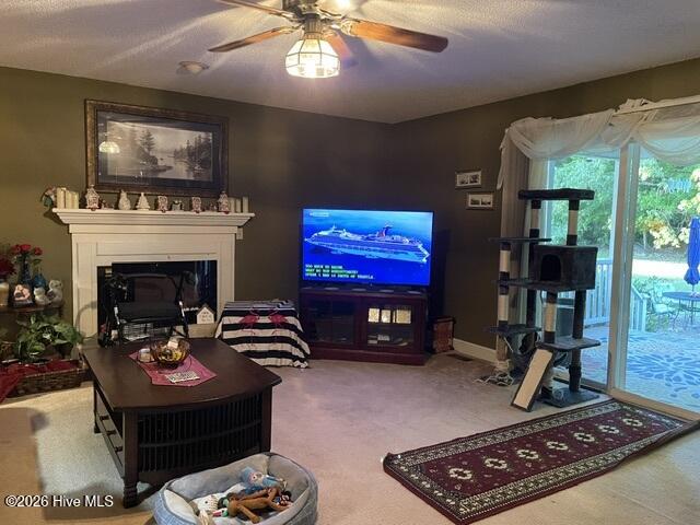 177 Ainsley Road Hertford, NC 27944 - Photo 34 of 46 Den