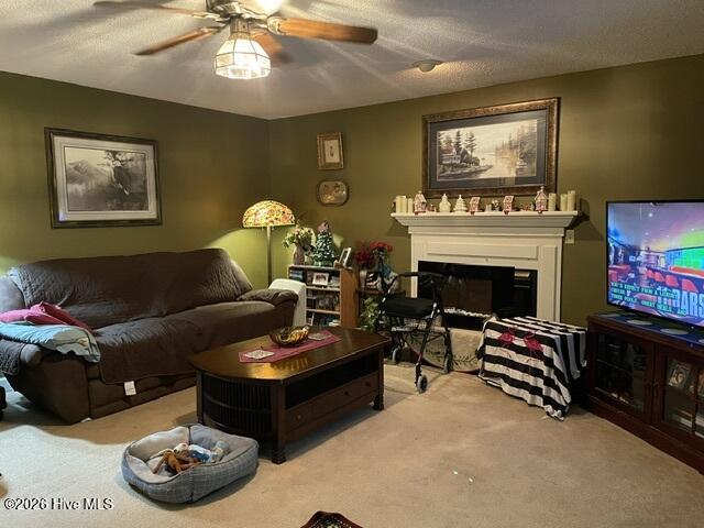 177 Ainsley Road Hertford, NC 27944 - Photo 35 of 46 Den
