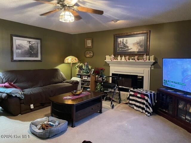 177 Ainsley Road Hertford, NC 27944 - Photo 36 of 46 Den