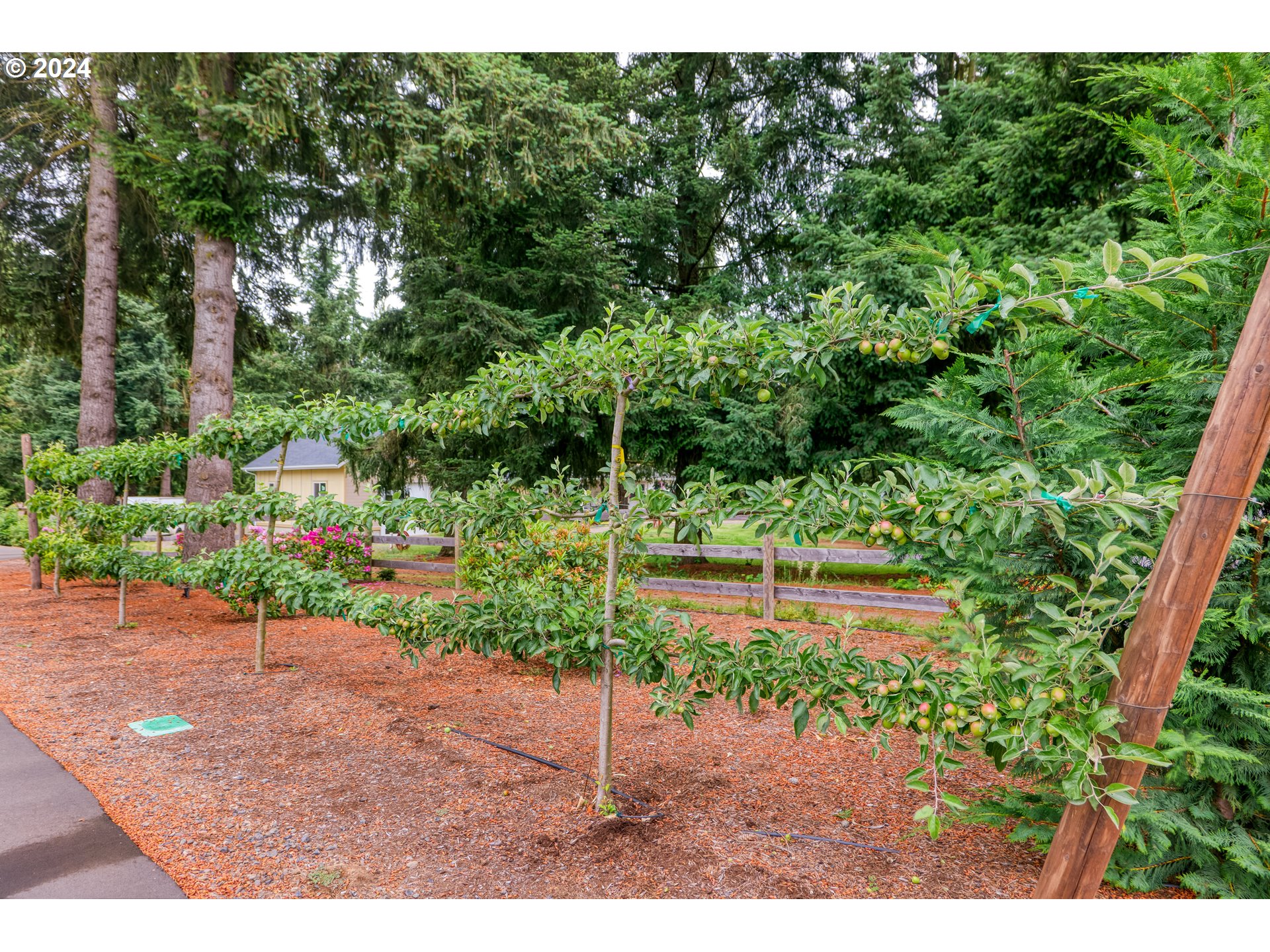 25595 South Rhoten Road Aurora, OR 97002 - Photo 7 of 48 a backyard of a house with a garden and outdoor seating