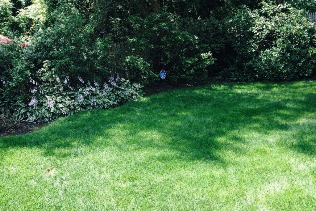 24 Blake Road Brookline, MA 02445 - Photo 40 of 40 a view of yard with green space