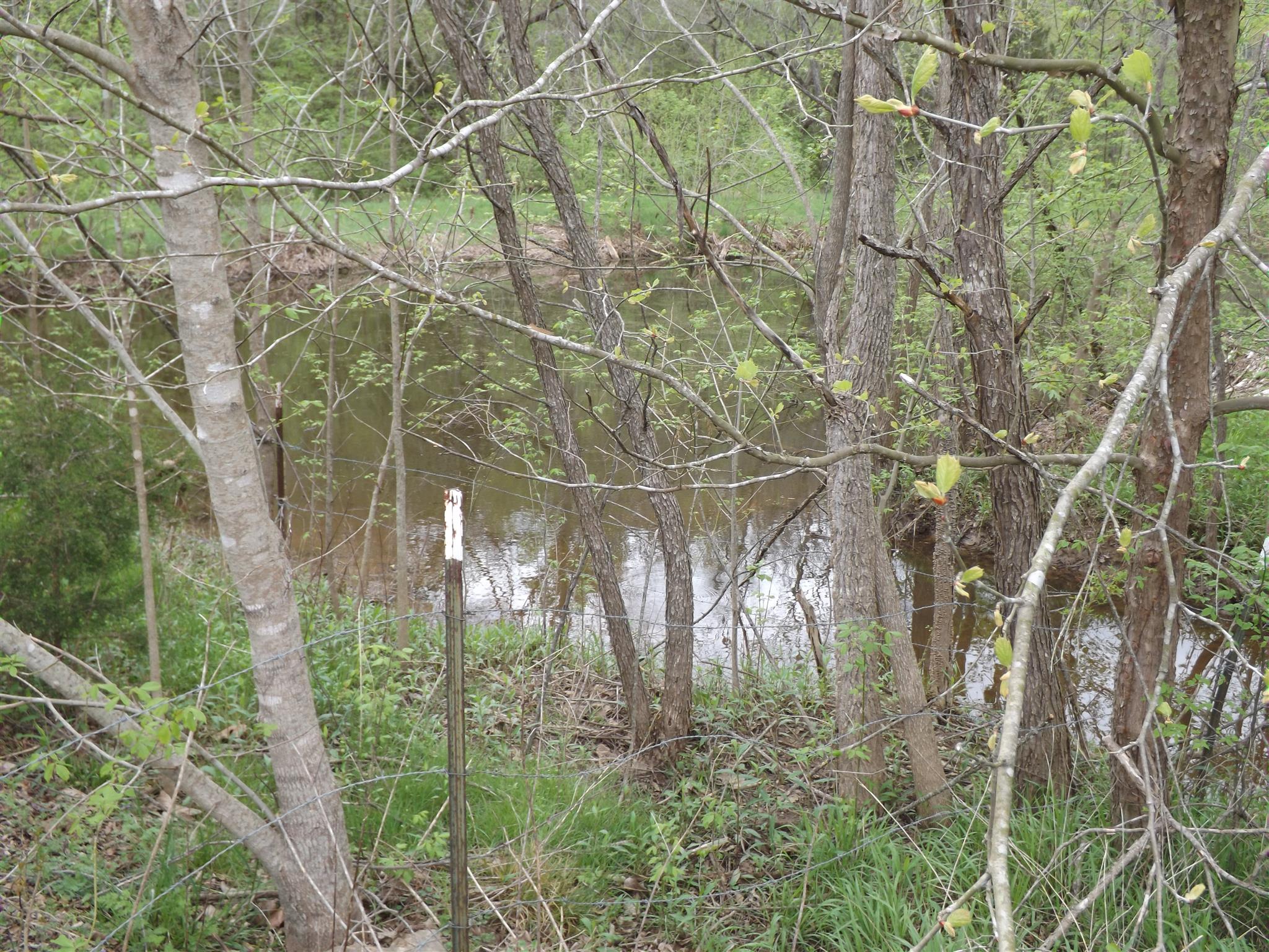 300 Snuff Branch Road Pulaski, TN 38478 - Photo 6 of 29 a backyard of a building with lots of green space