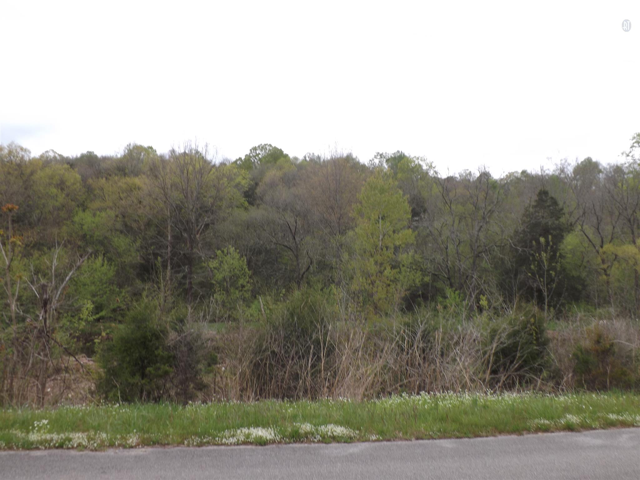 300 Snuff Branch Road Pulaski, TN 38478 - Photo 8 of 29 a view of a mountain