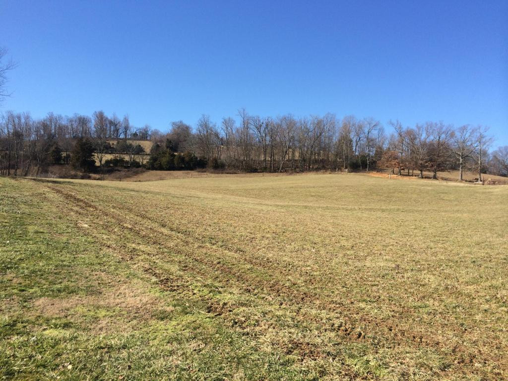 0 Snapp Bridge Road Limestone, TN 37681 - Photo 13 of 18 Photo 13