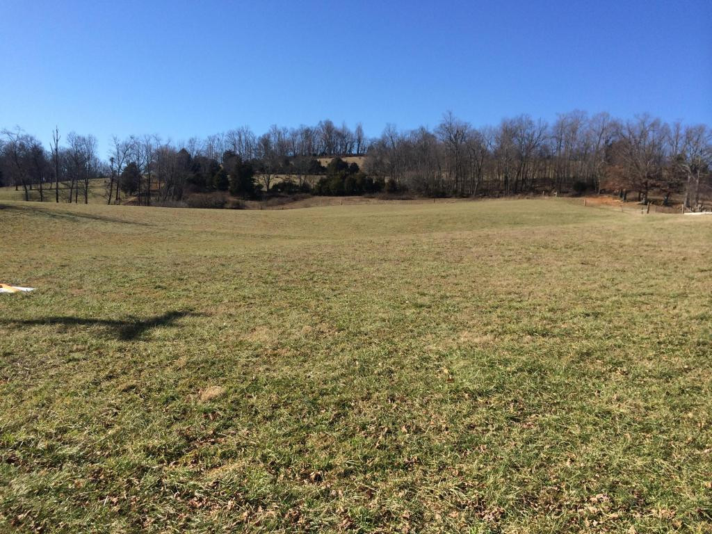 0 Snapp Bridge Road Limestone, TN 37681 - Photo 8 of 18 Photo 8