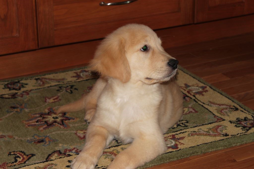 618 Main Street, Unit 3231 Coventry, RI 02816 - Photo 9 of 11