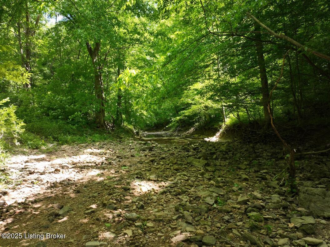 5579 Falls Of The Rough Road Caneyville, KY 42721 - Photo 11 of 33 DJI_0120_20